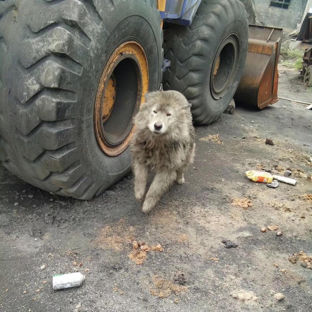 大话西游
