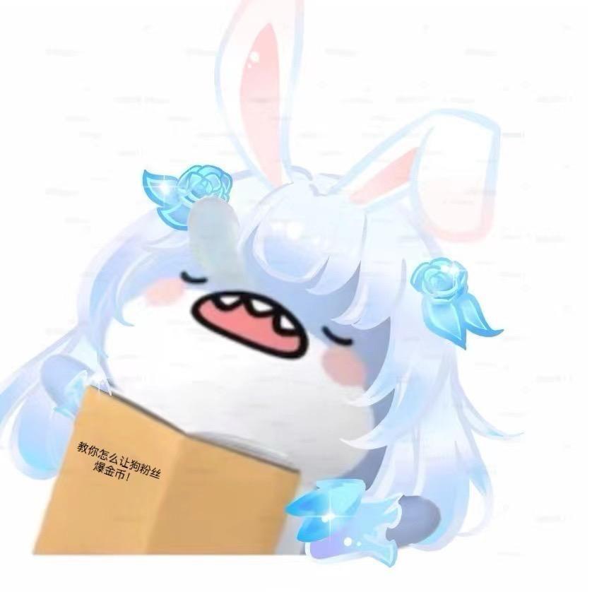 失眠猫猫