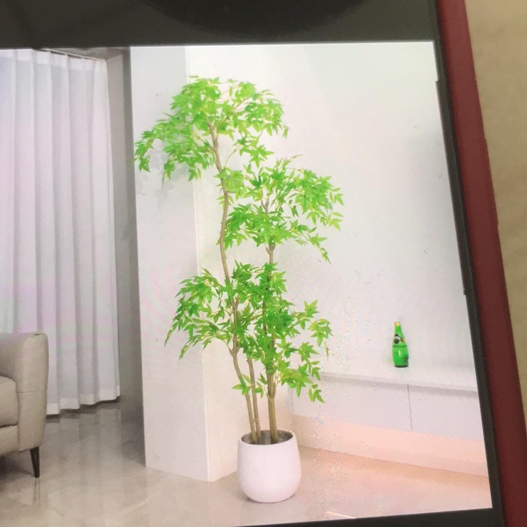 安利贵丽