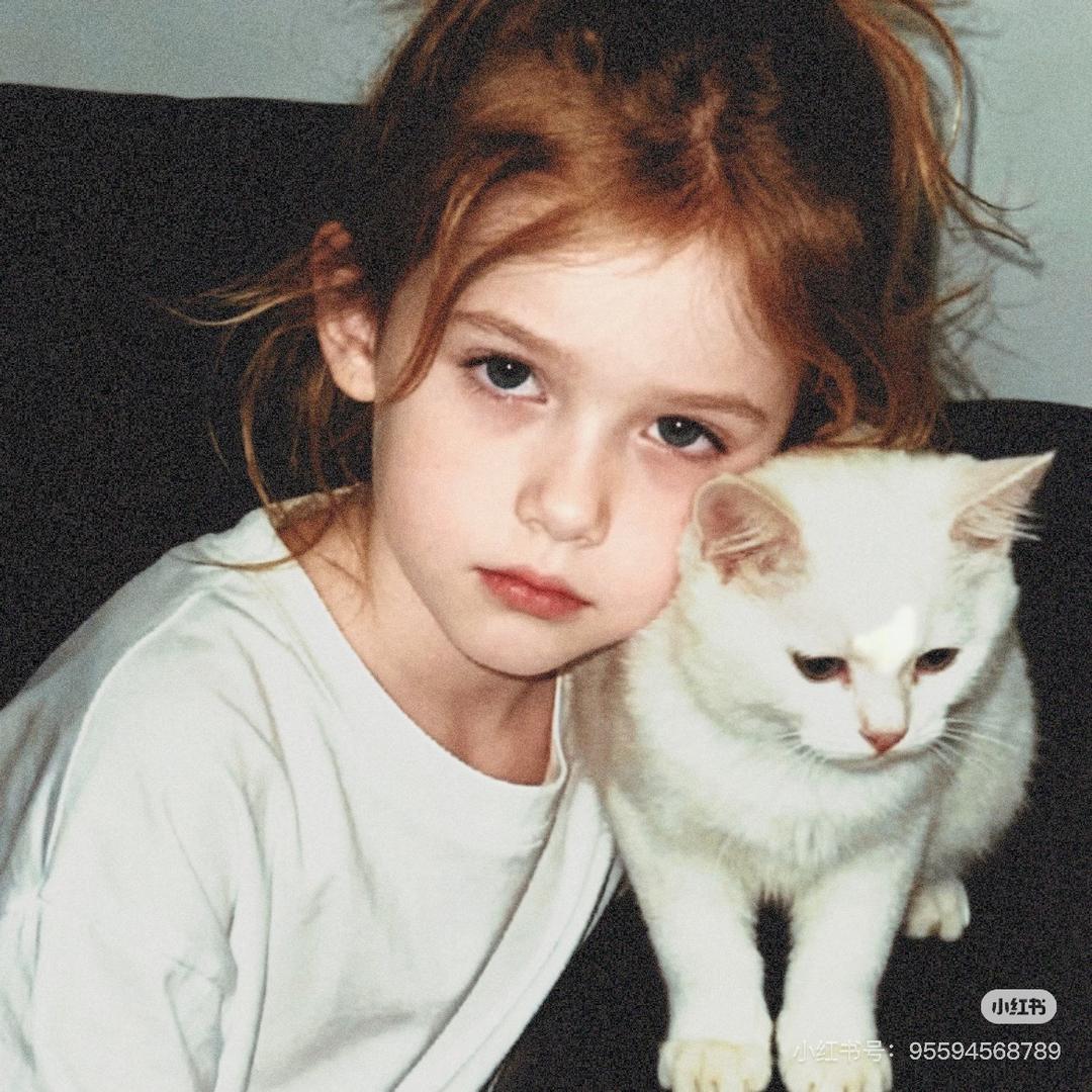 拉一车没有感情的车厘子🥑