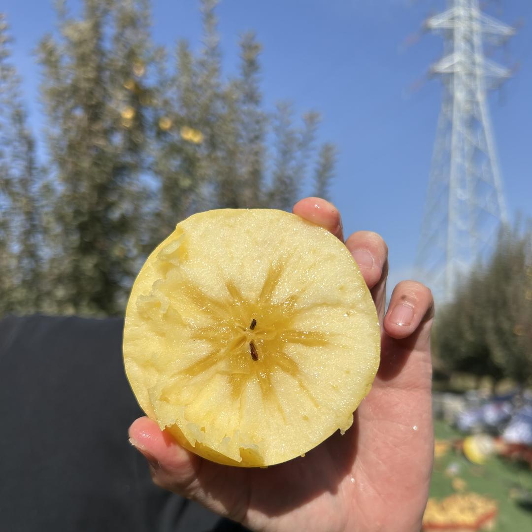 瓜农汇新疆特产