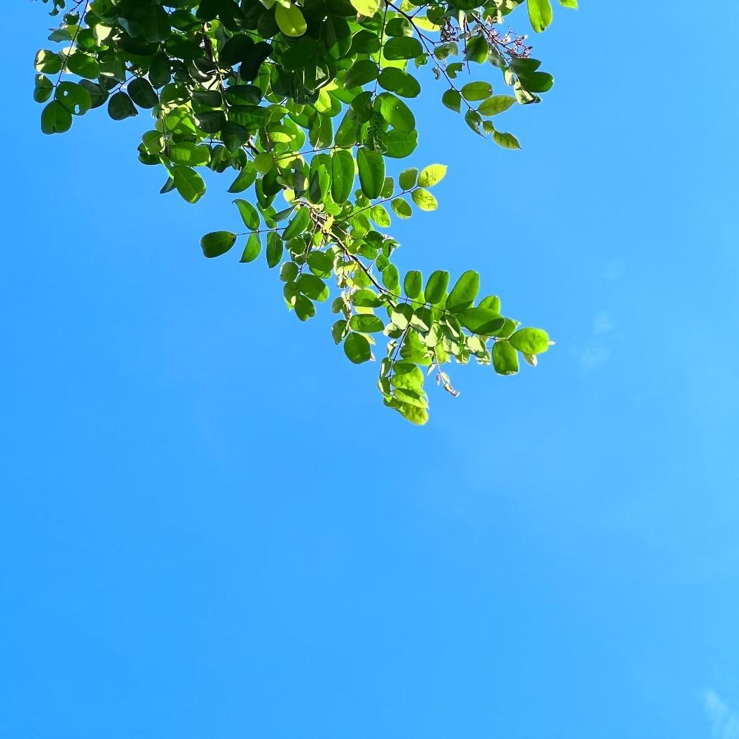 只爱宝宝咪