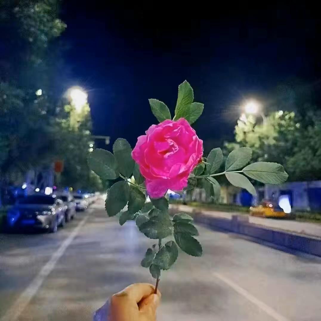 买买提江💞