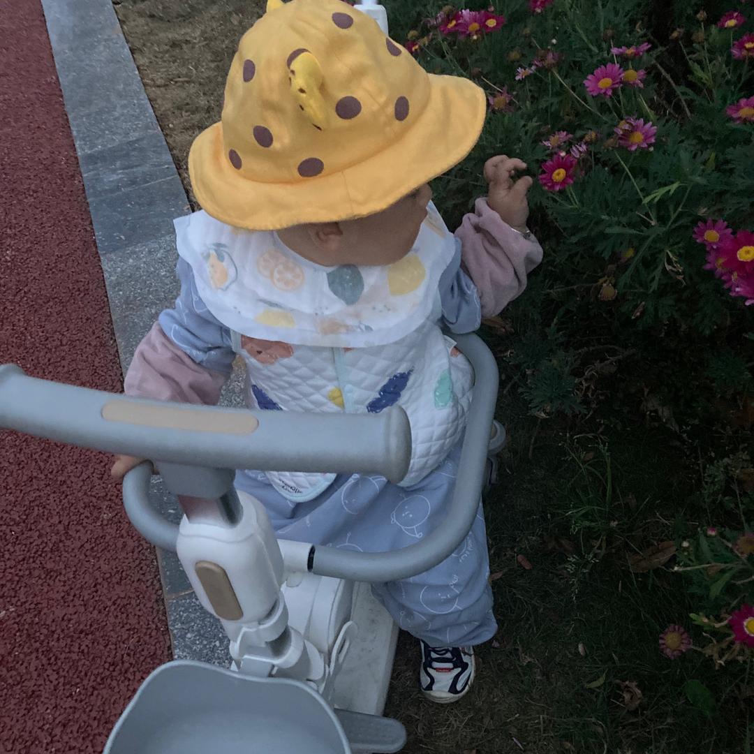 默默亮的小媳妇