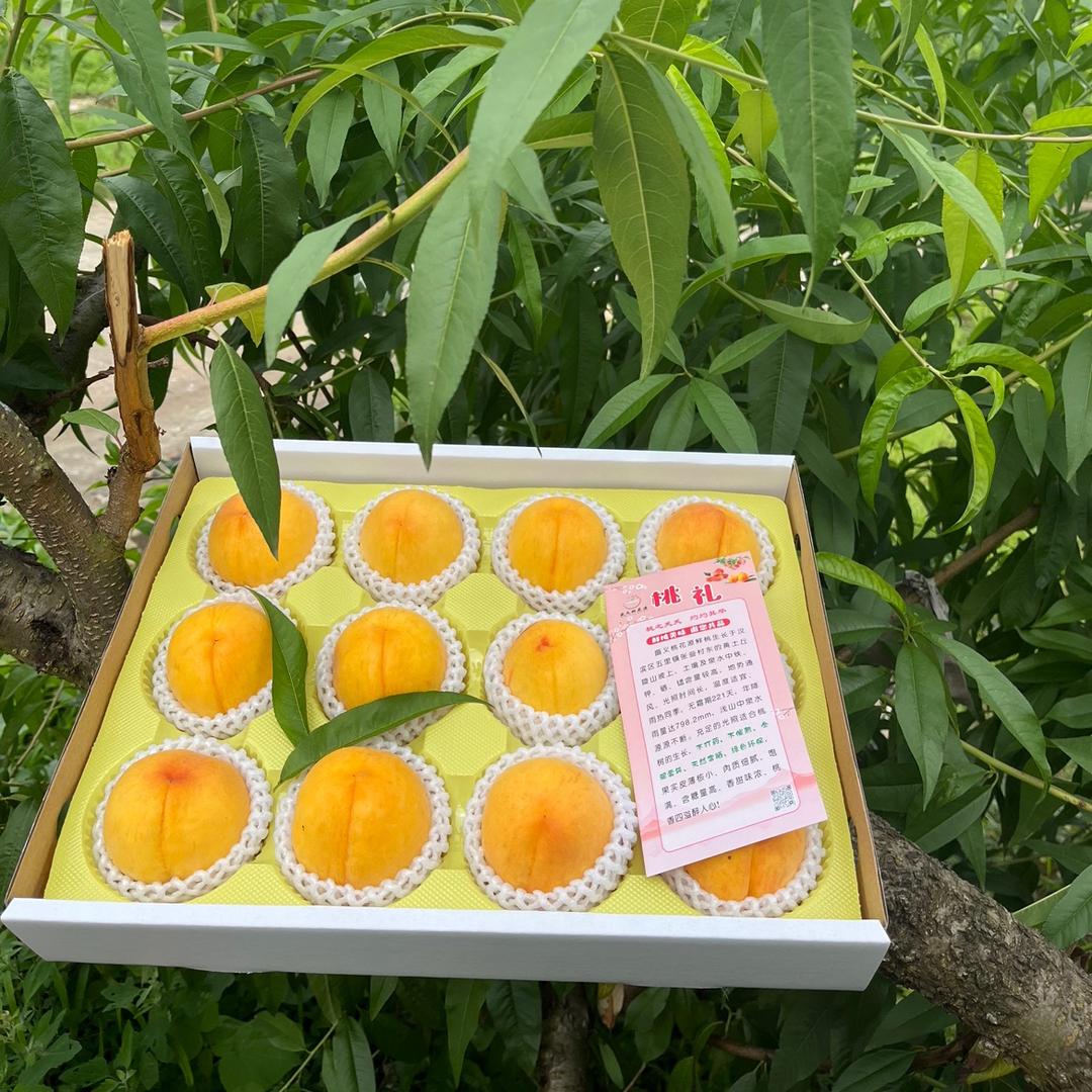 安康桃子王