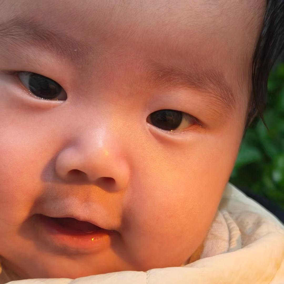 🐷小猪佩奇🐷