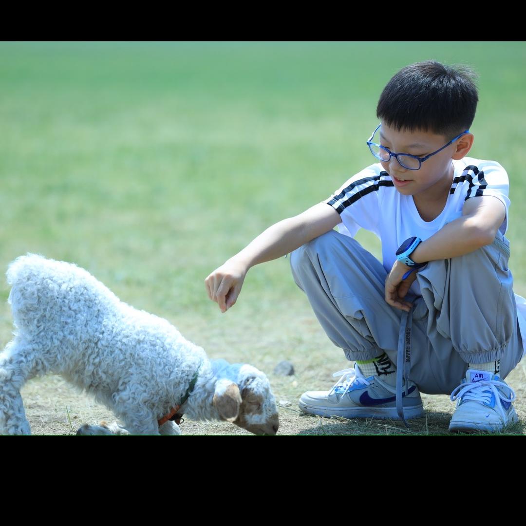 🍃🌸 雪 🌸🍃