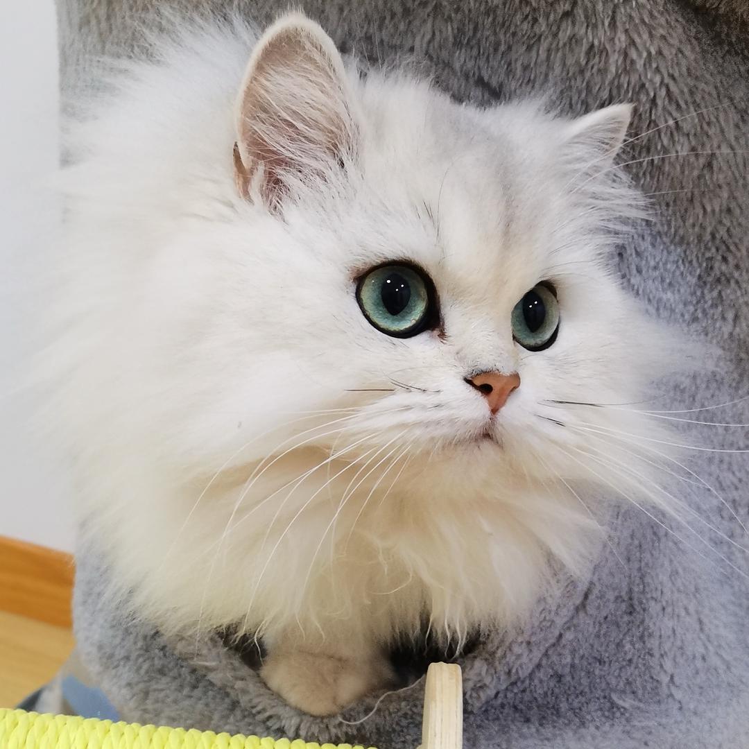 ∪点小脾气