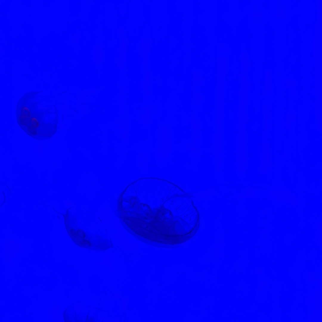 Pablo李周烊(1.30杭州专场版)