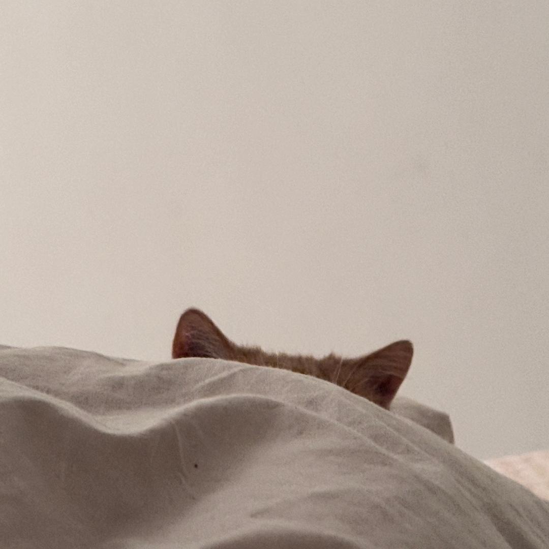 阳光。。