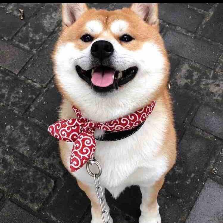 爸爸。