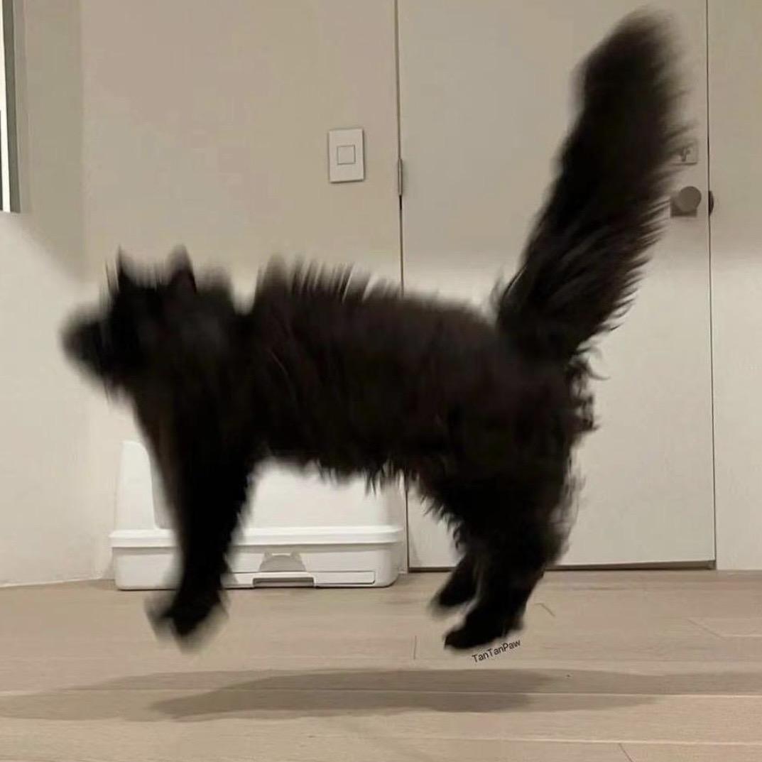 方承