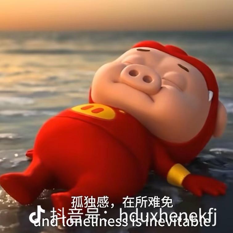 菠萝晨和豆包张