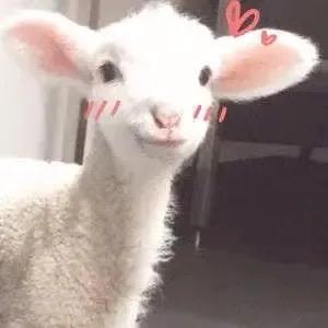 世人皆醒ヅ我独醉