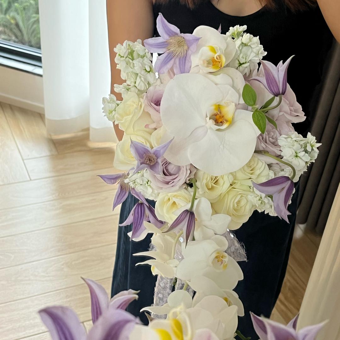 qiuqiu