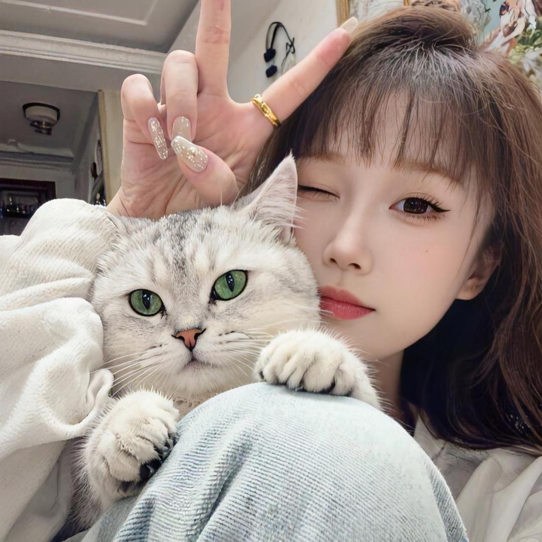 晚个安🧚‍♀️