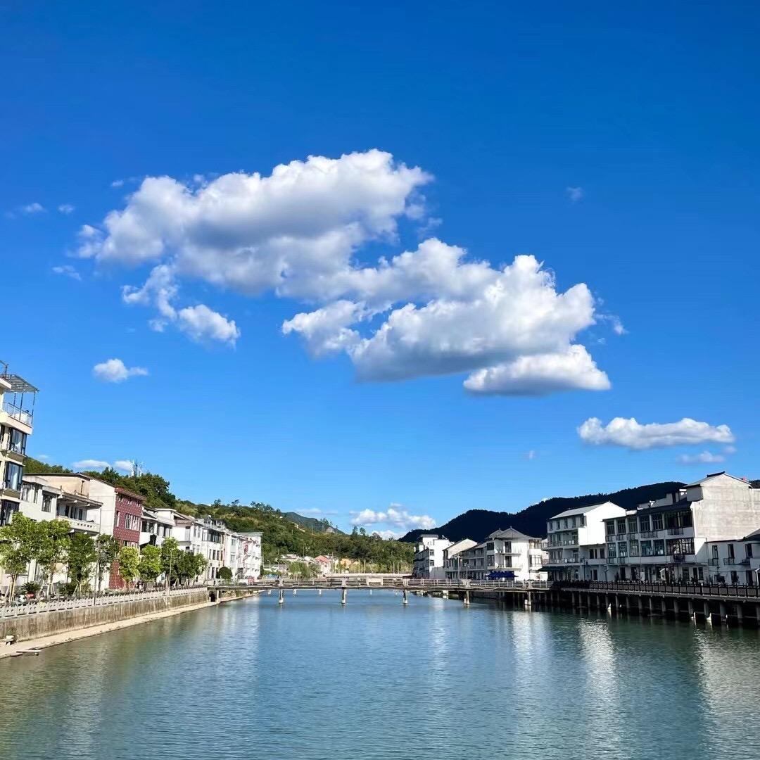 小白小黑