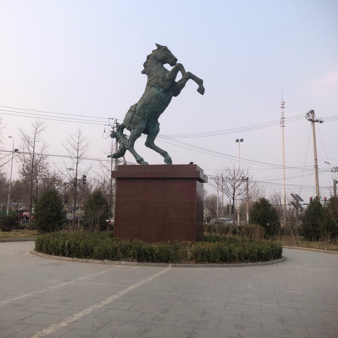 开心果