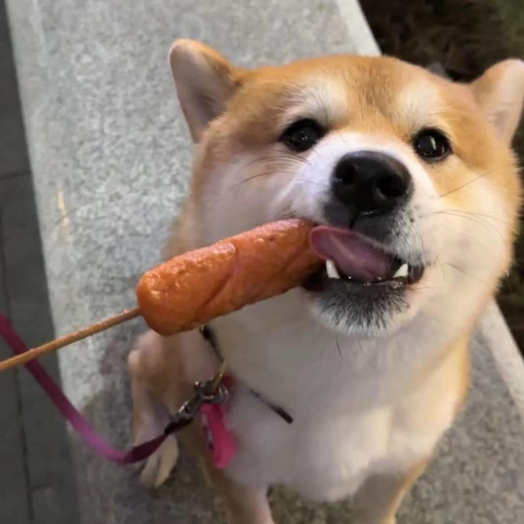 是鲨于呀~