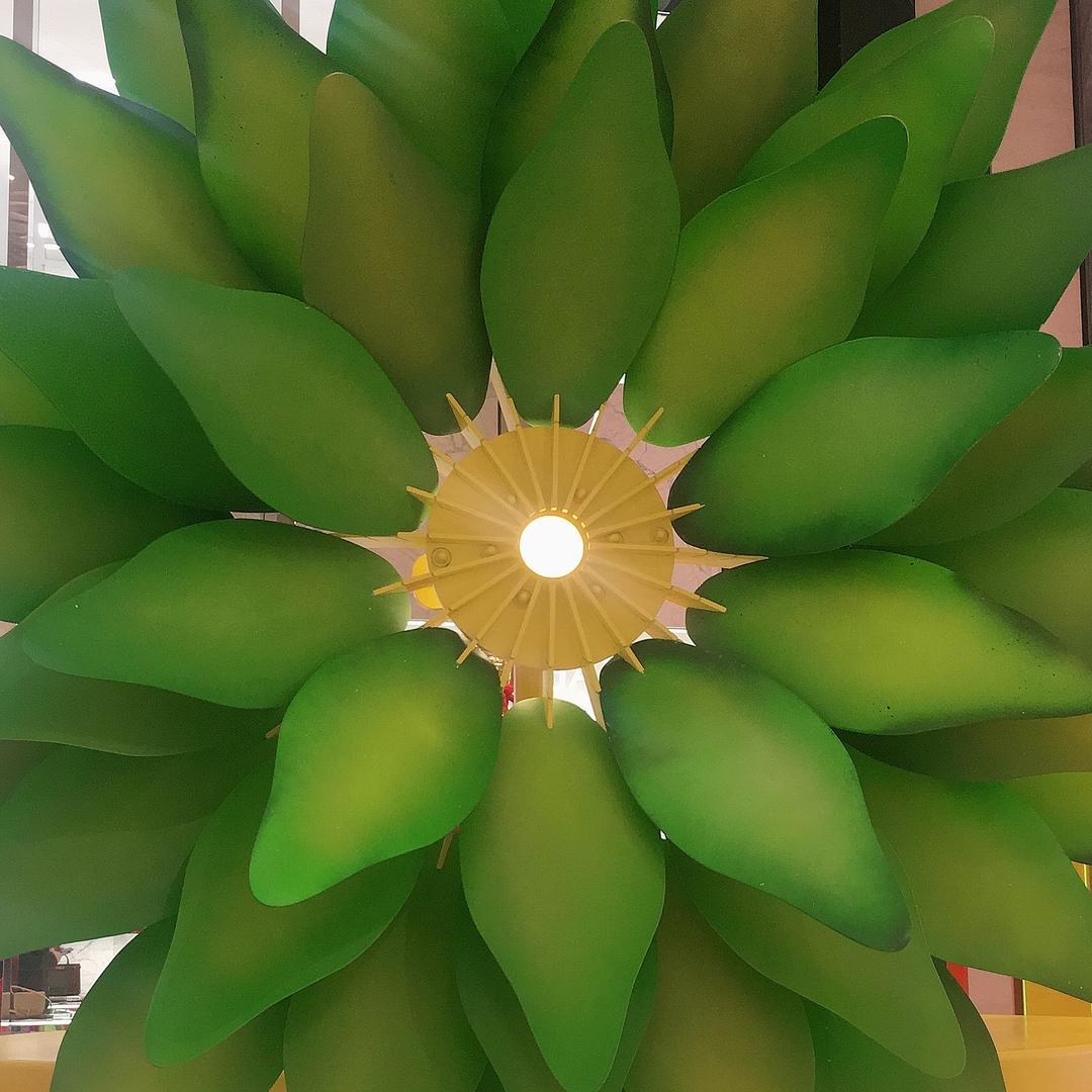 小玉