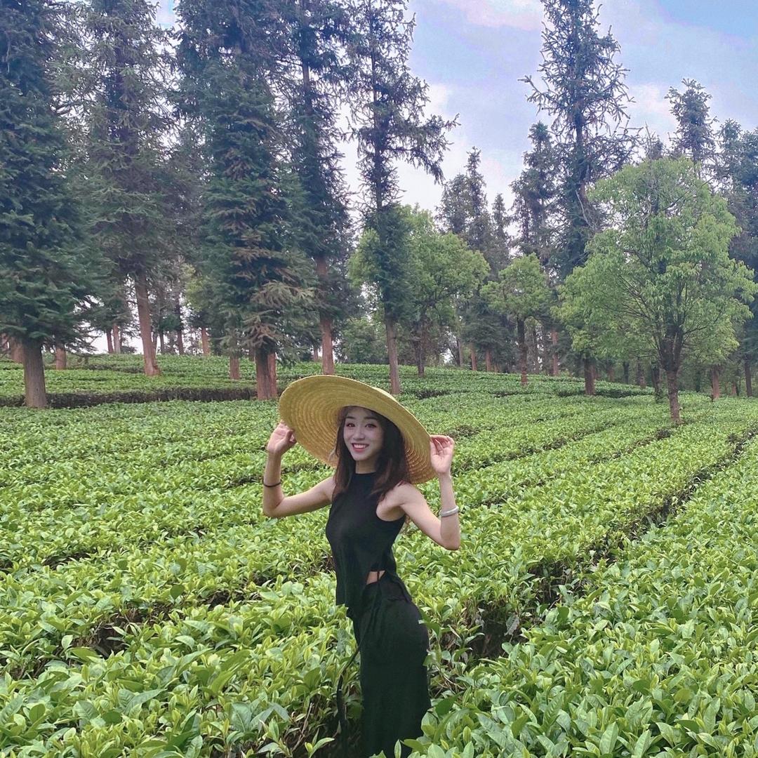 姗姗茶叶@抖音