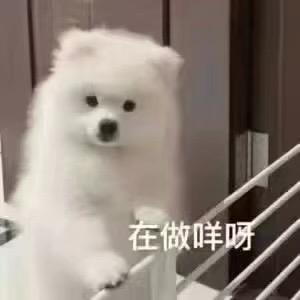 芋泥糯米小咪