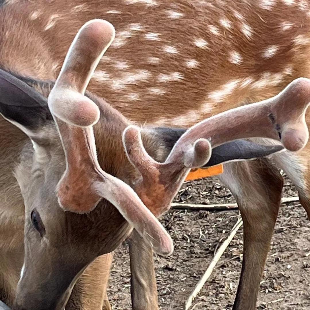 祥润泽祥润滋补专卖店