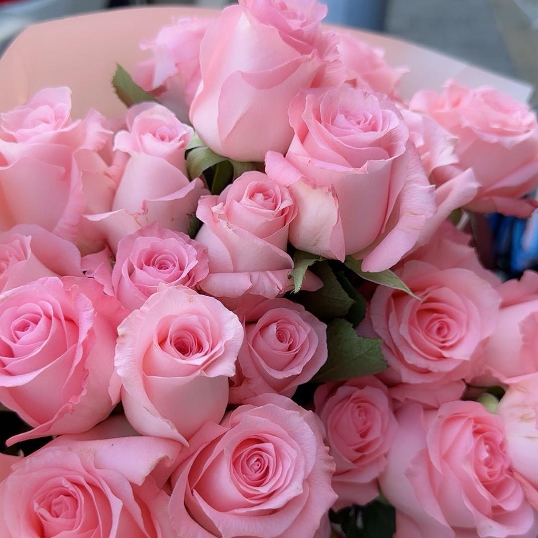 芳菲美妆