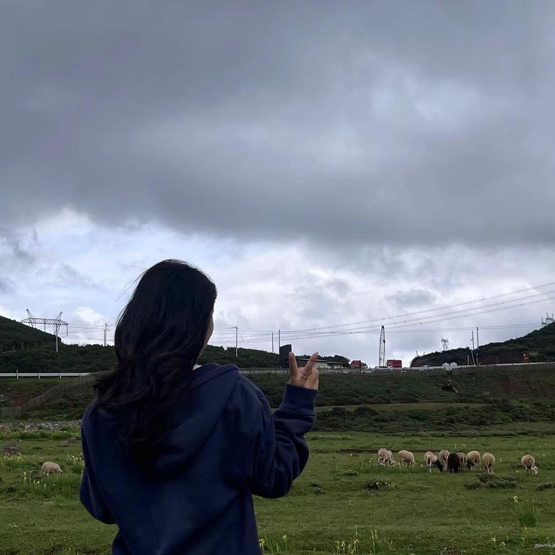 白白叶叶