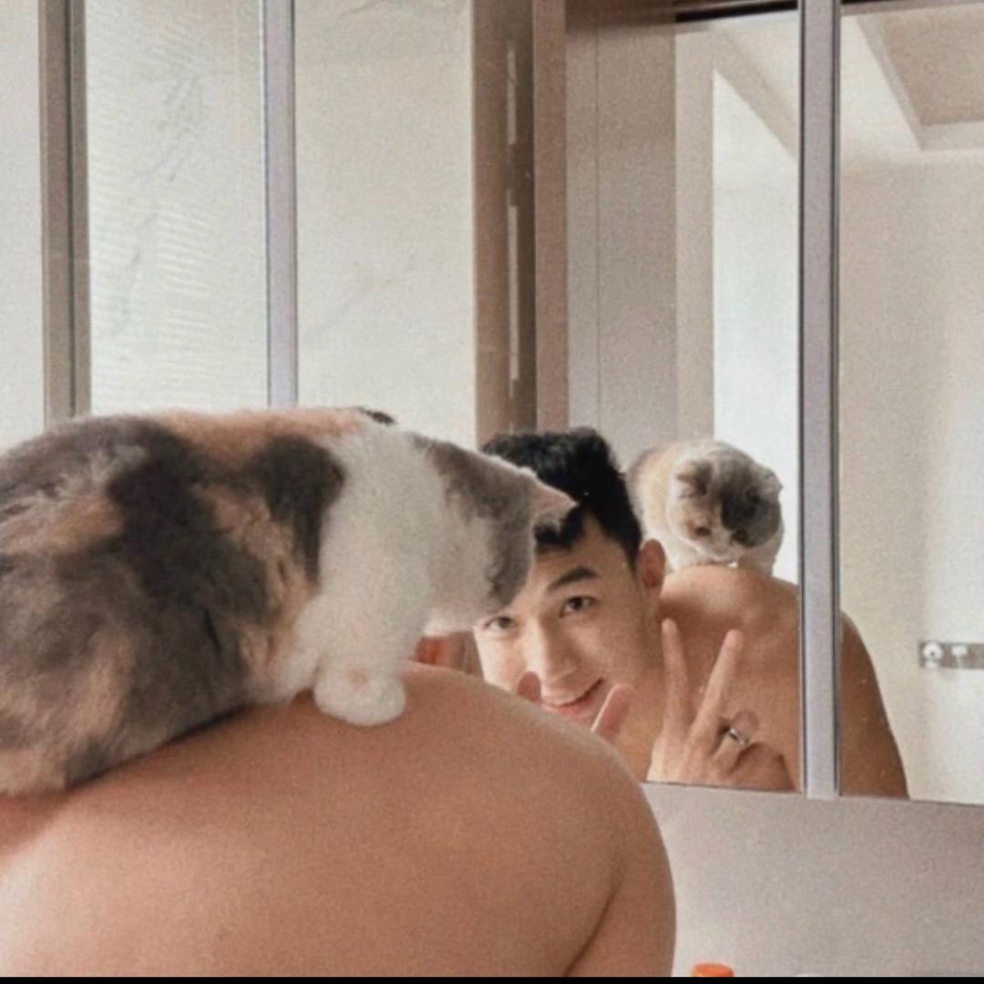 杨光明媚.