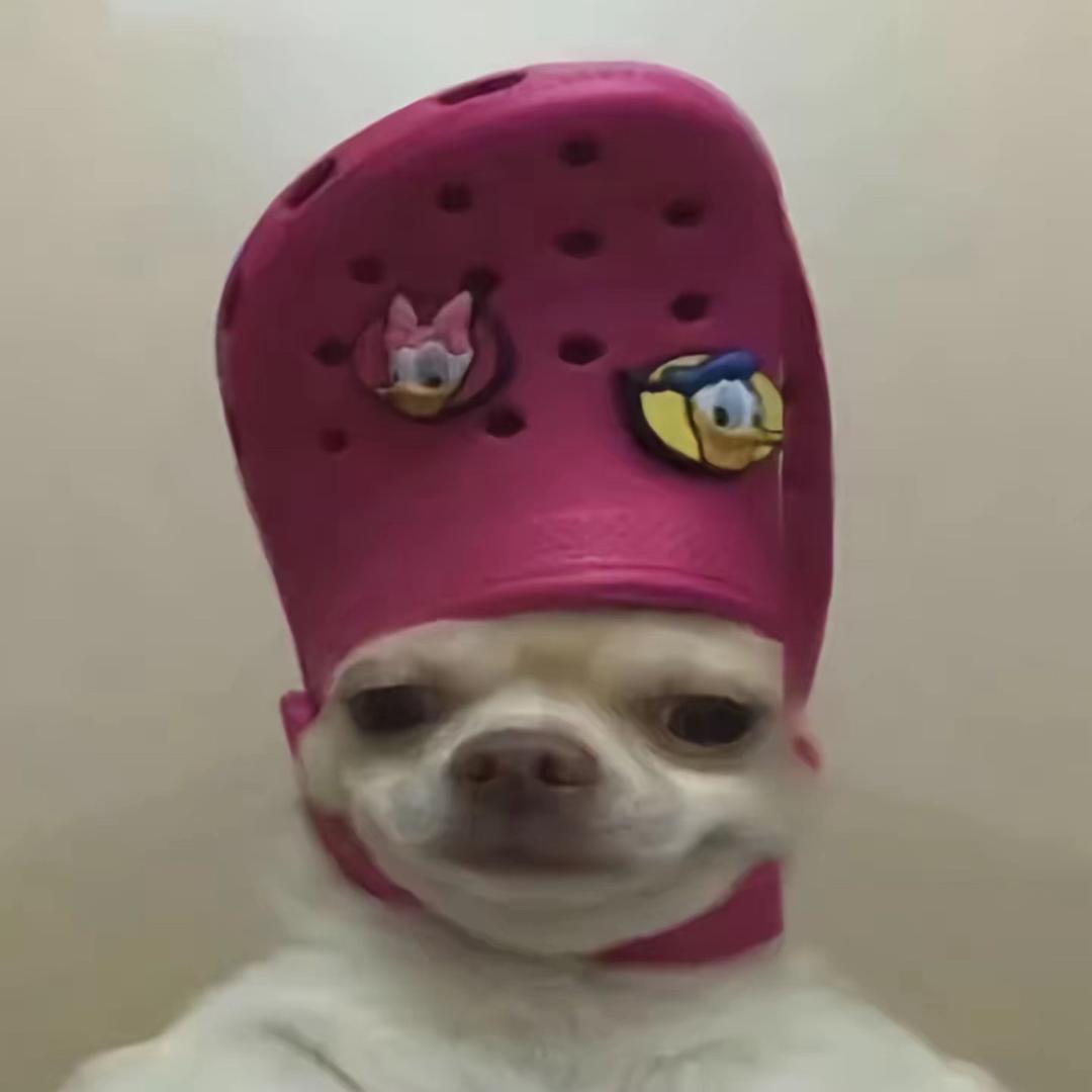 洗哇哇