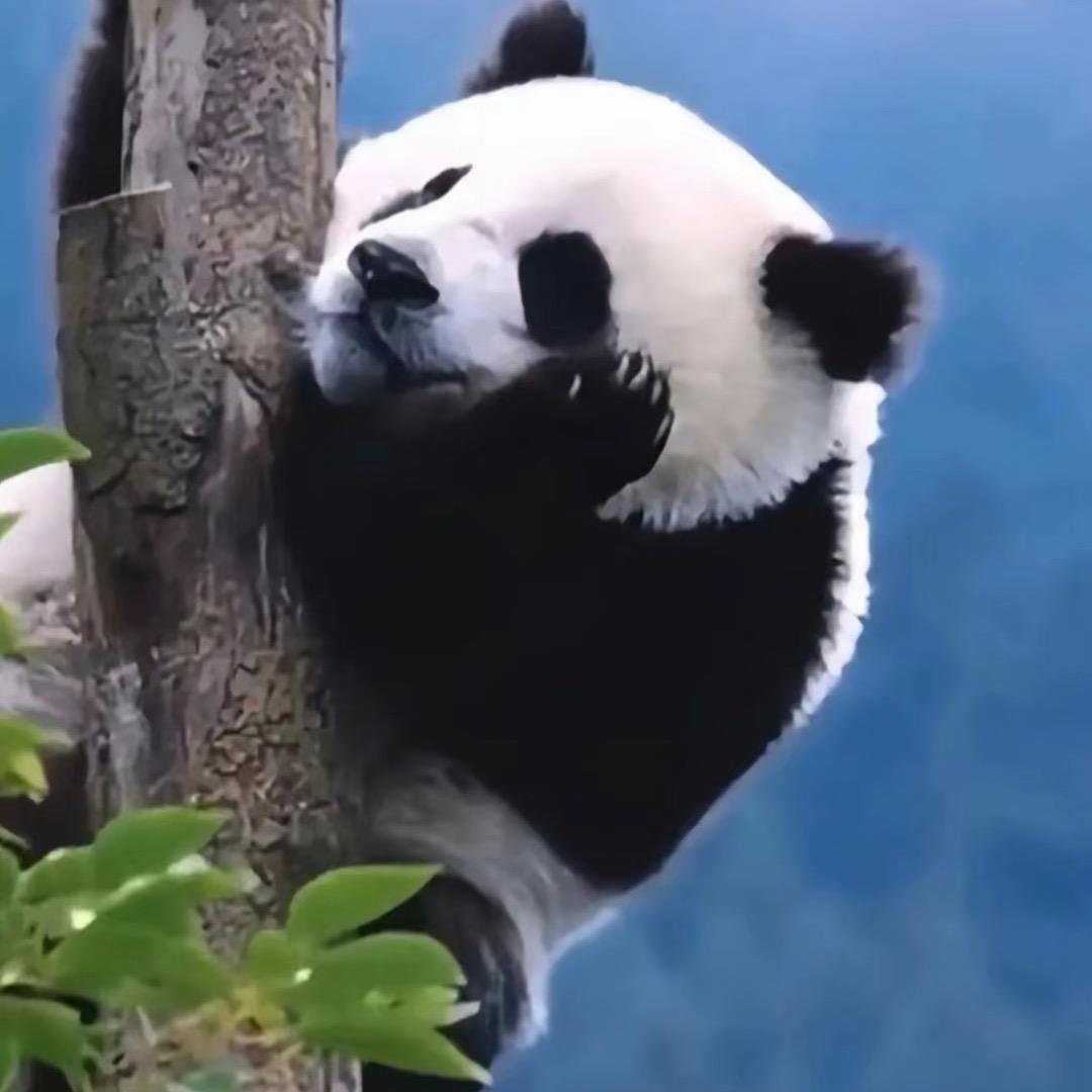 南大门韩国米糕(簇桥店)官方号