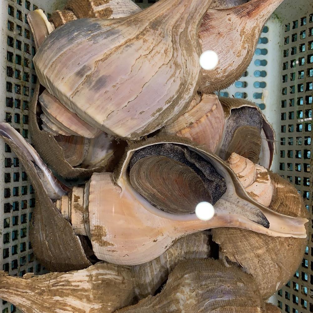 ❤️‍🔥5296306440❤️‍🔥