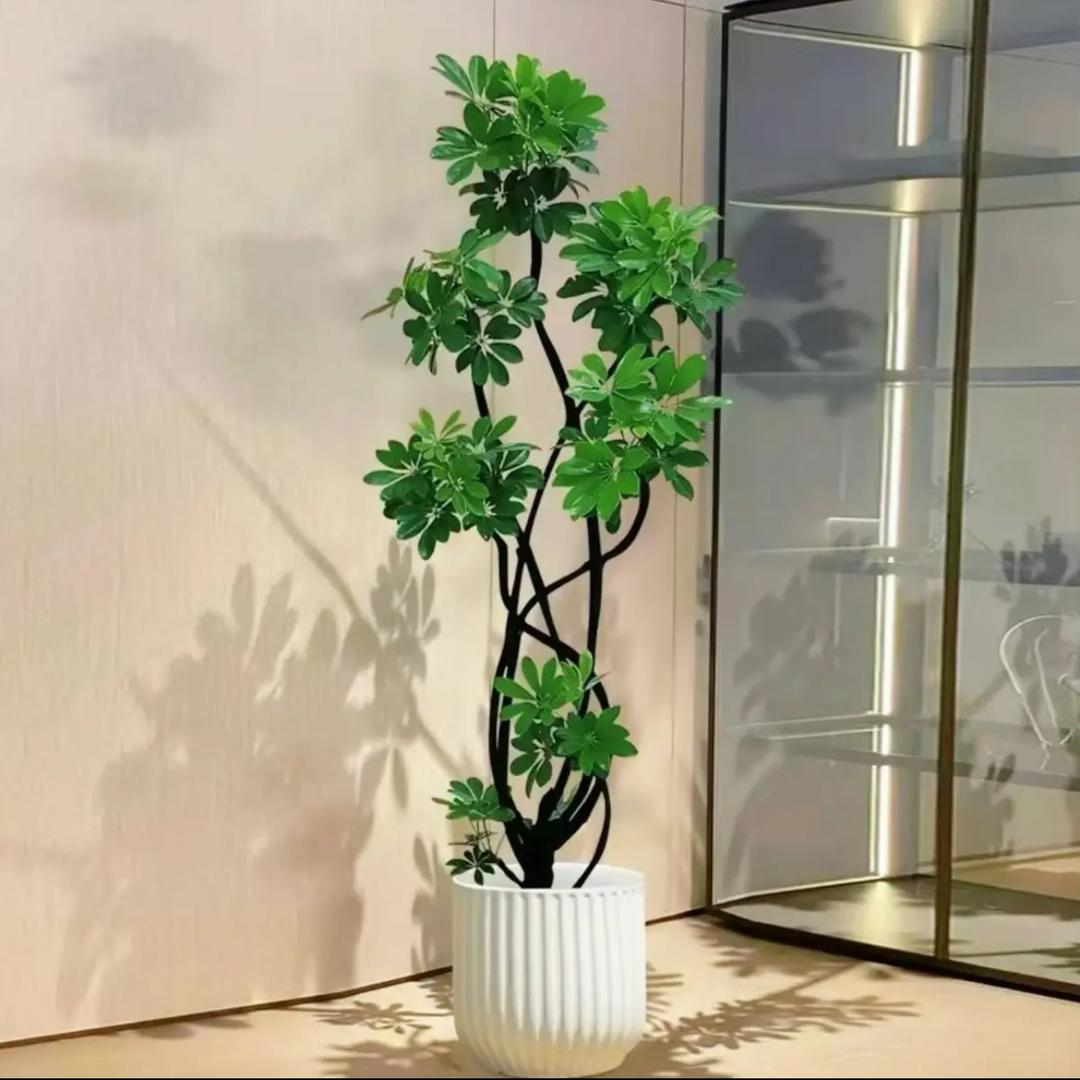 森林FEEL.Y