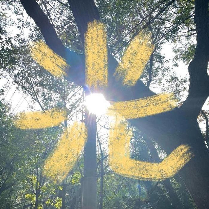 扶光工艺灯饰臻选