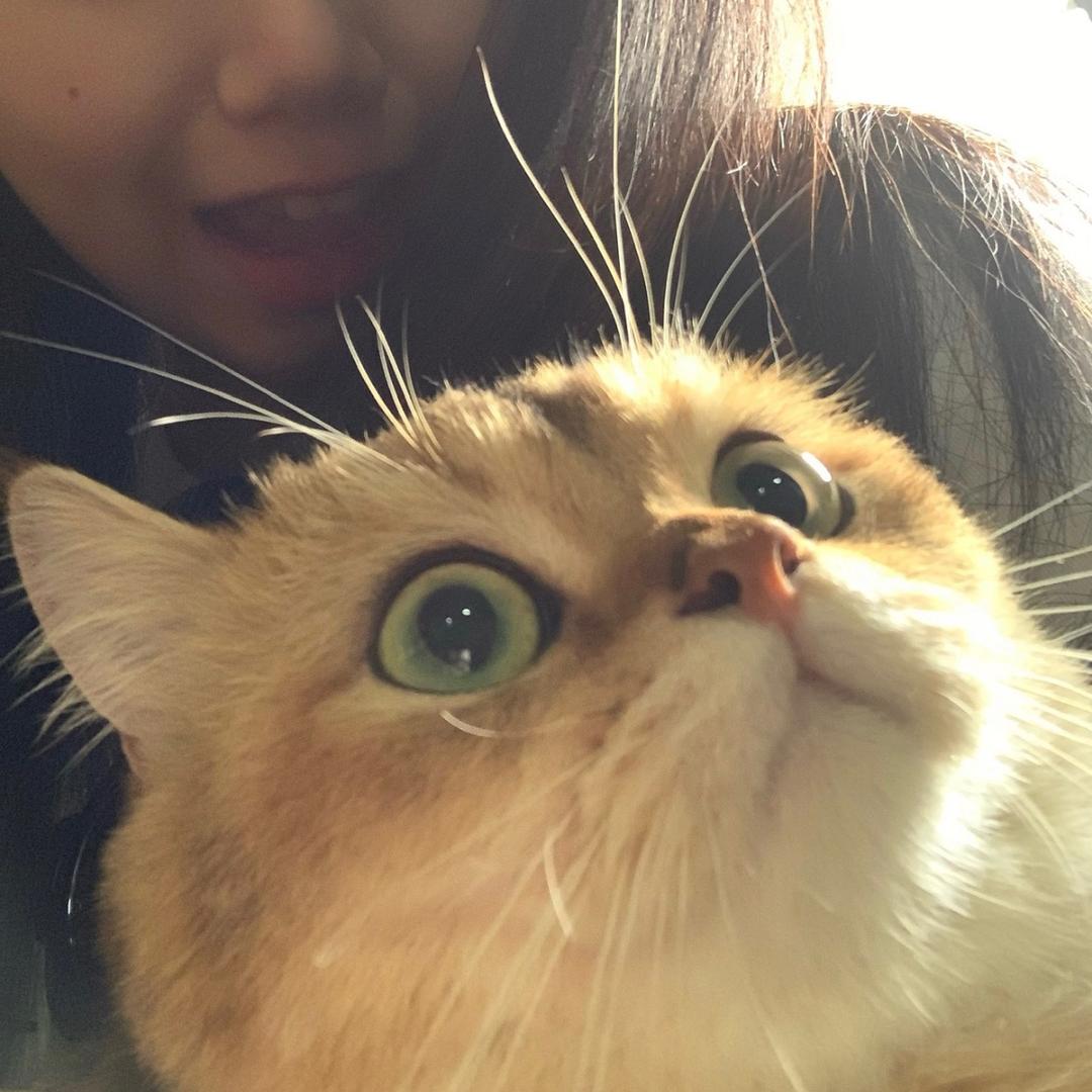 村少-