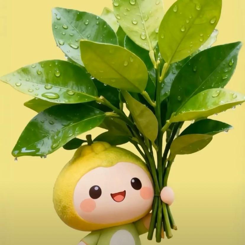 快乐
