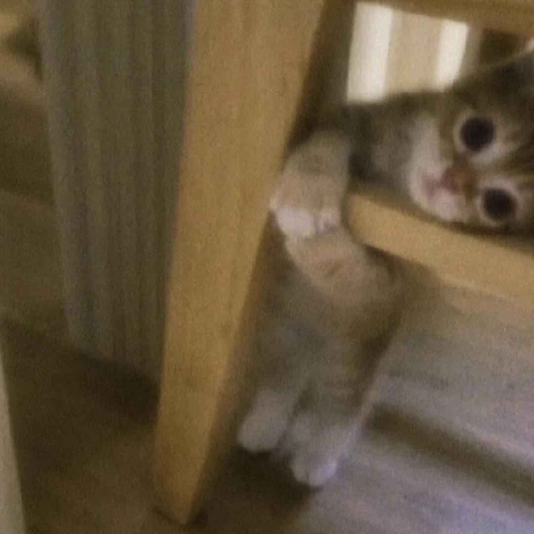 927