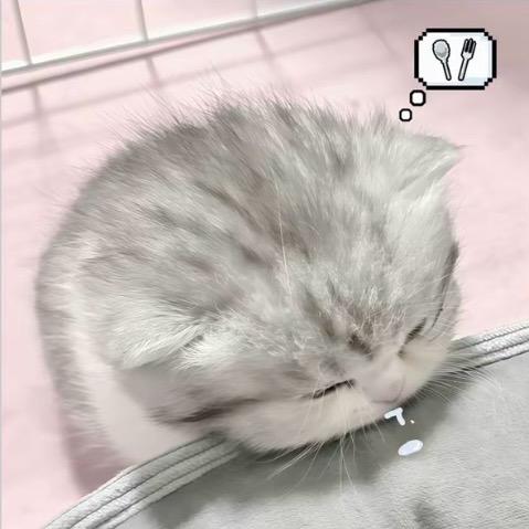 我还是很讨厌你