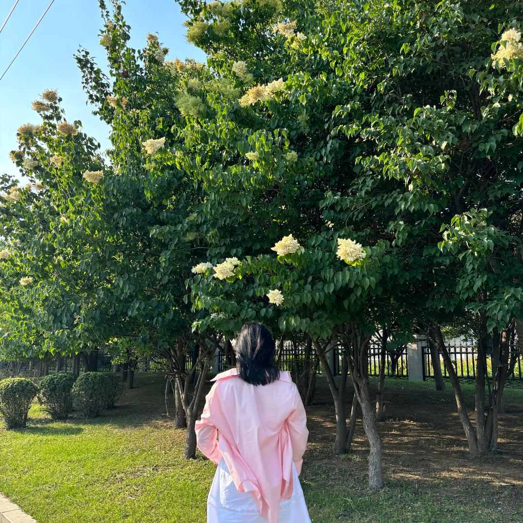 小巴尔特