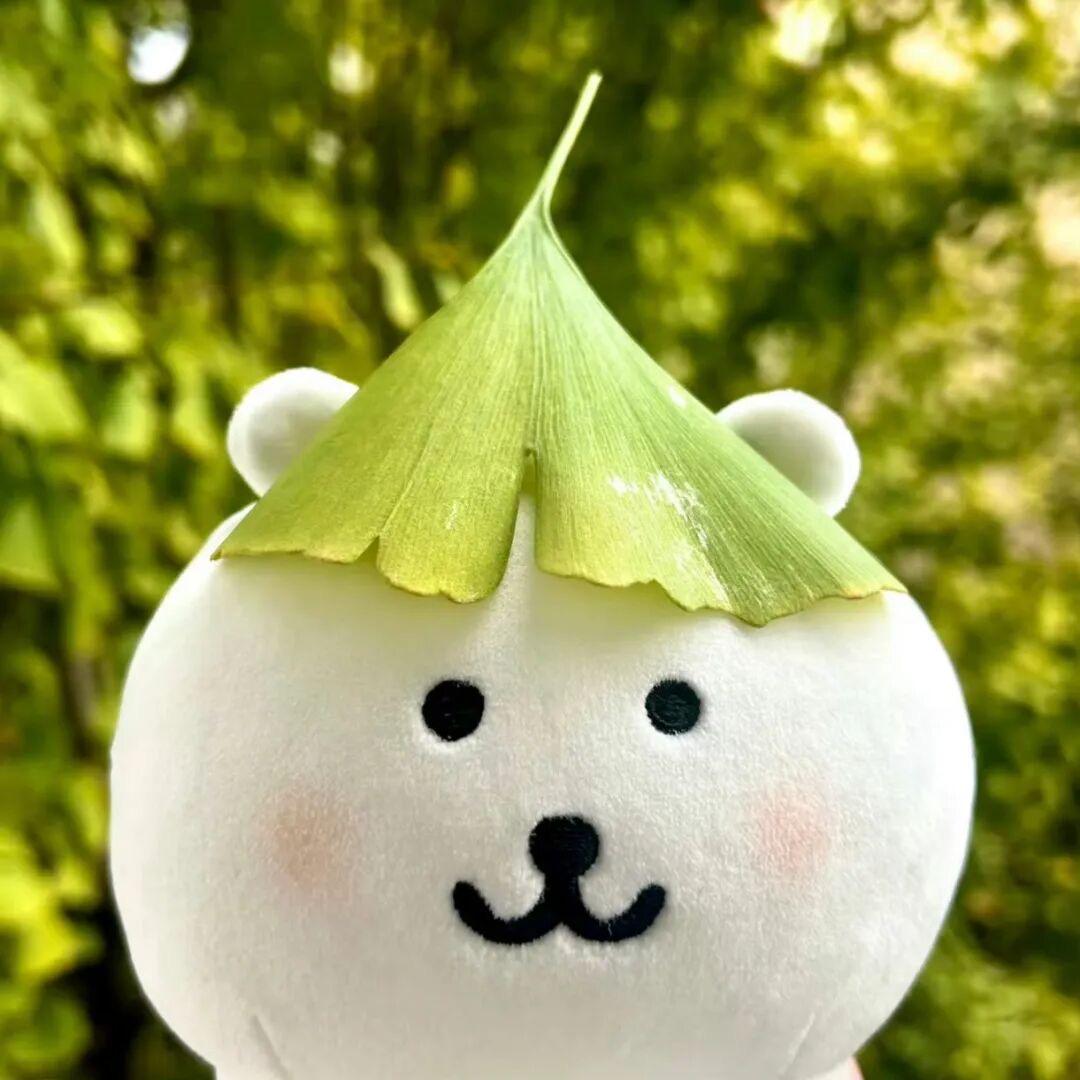 四月天、