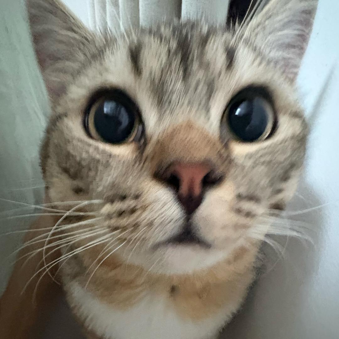 TuTiug^