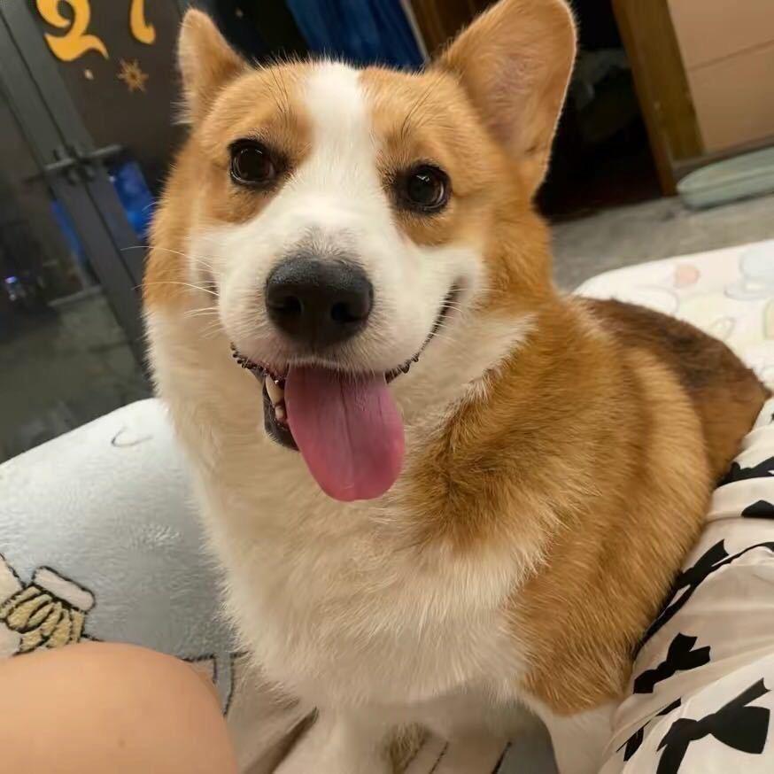 满舒克
