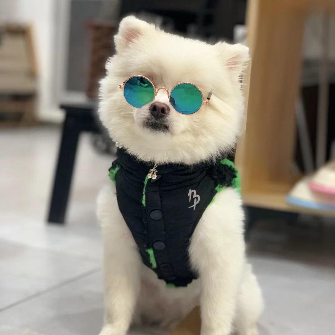 天星甄选