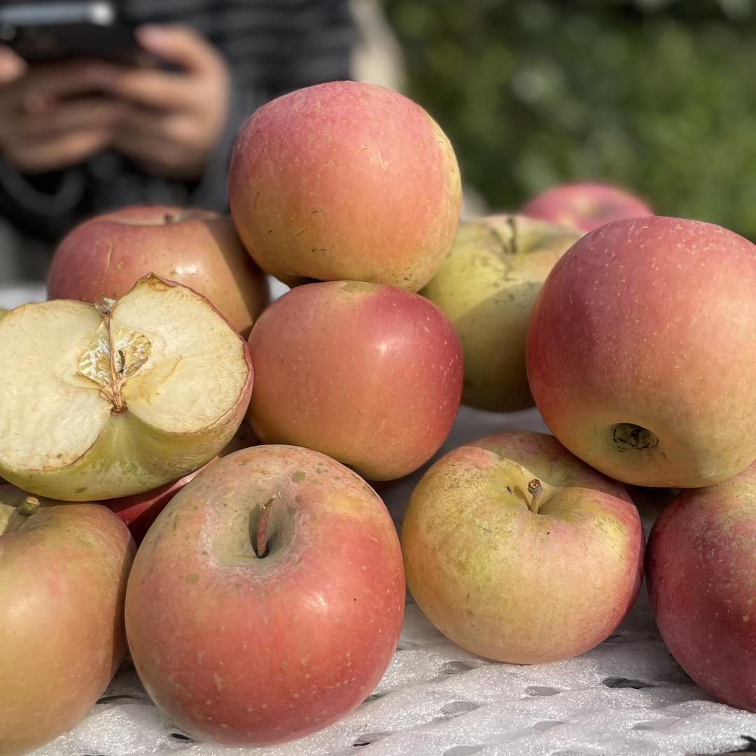 每日U选NOI全国仓