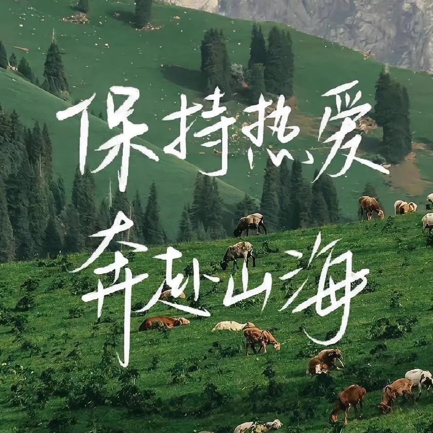 北哥是个双子座♊️