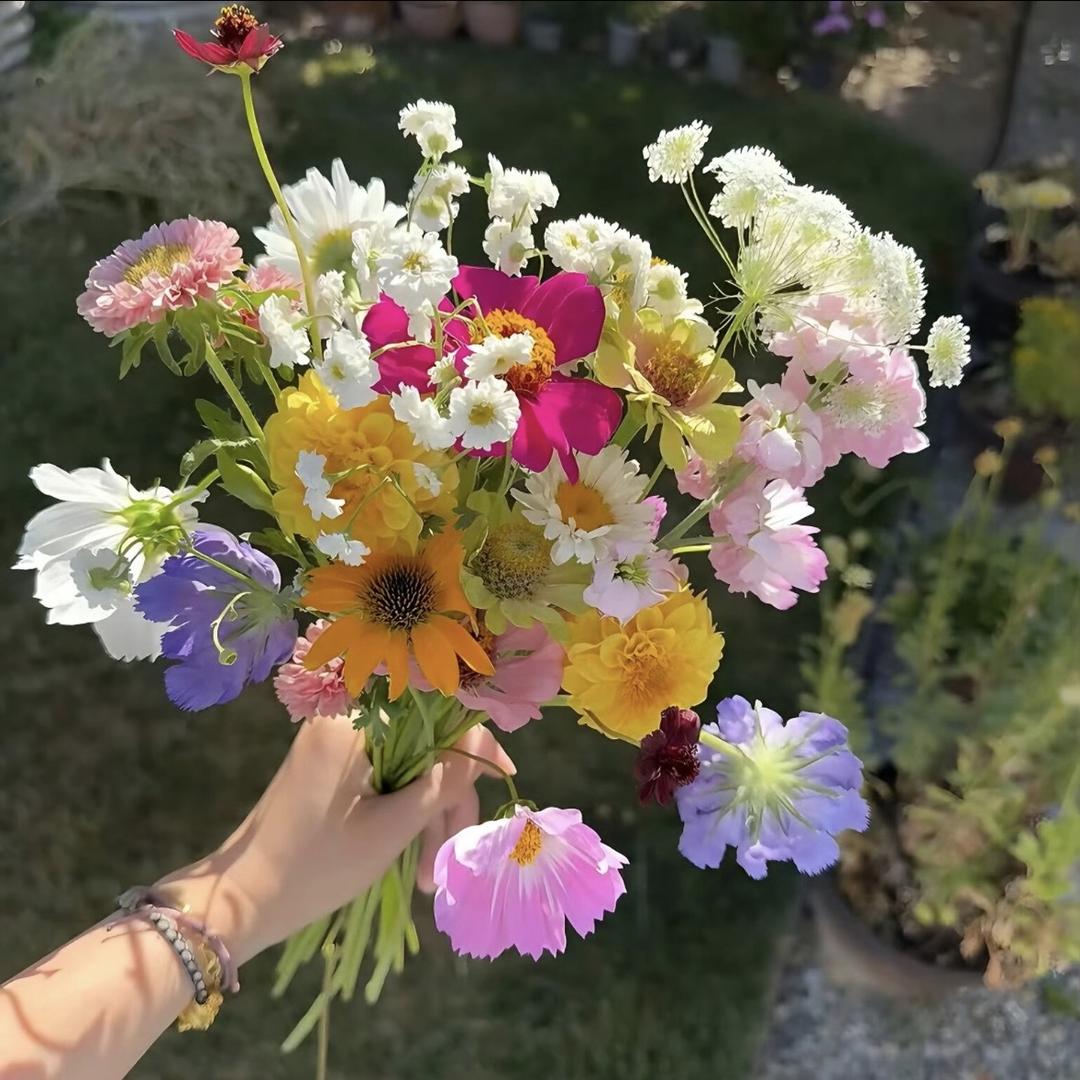 花之屿园艺