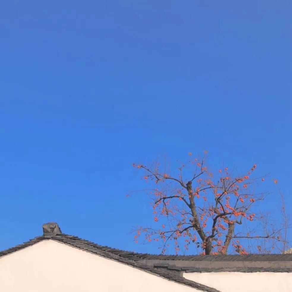 单翼
