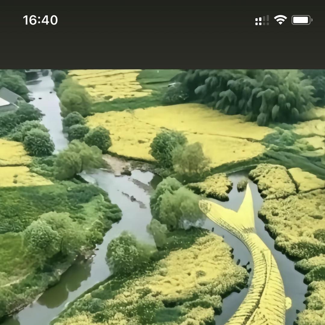 江小舟钓鱼（收徒）