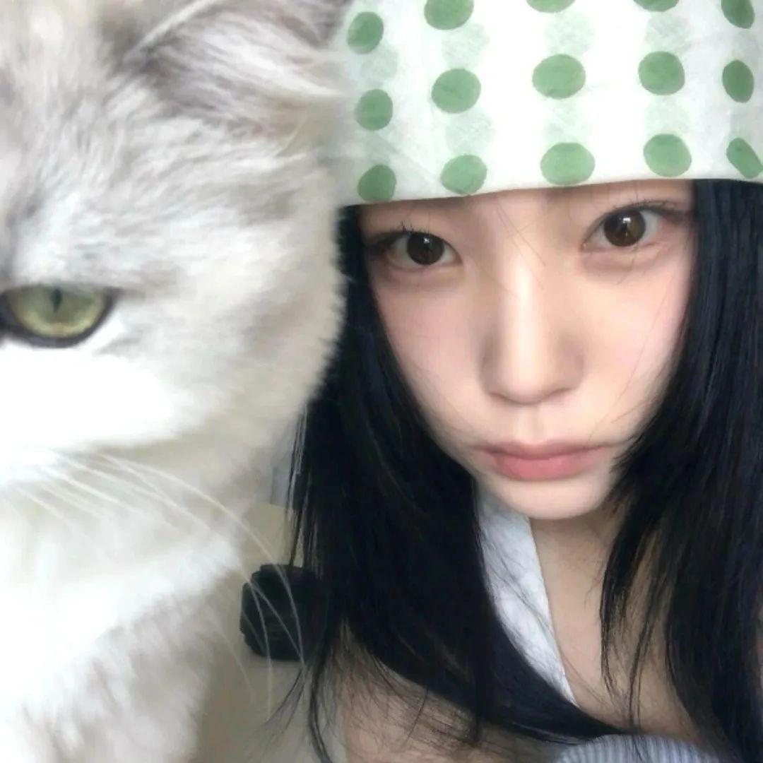 房檐旁的猫.